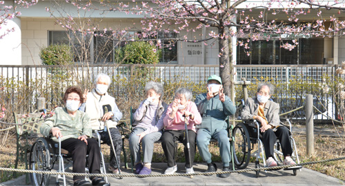 お花見